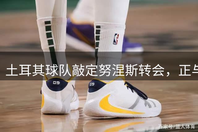 土耳其球队敲定努涅斯转会，正与沙特俱乐部磋商